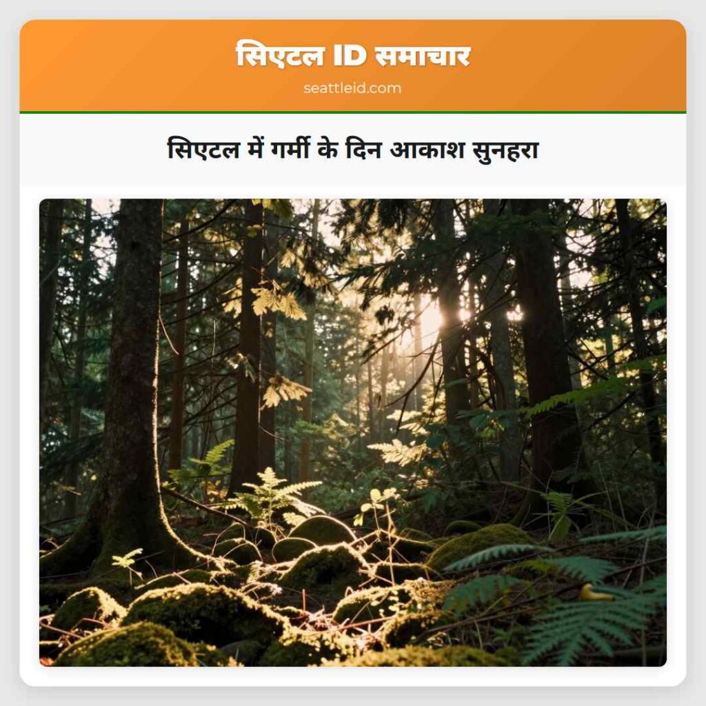 सिएटल में गर्मी के दिन आकाश सुनहरा