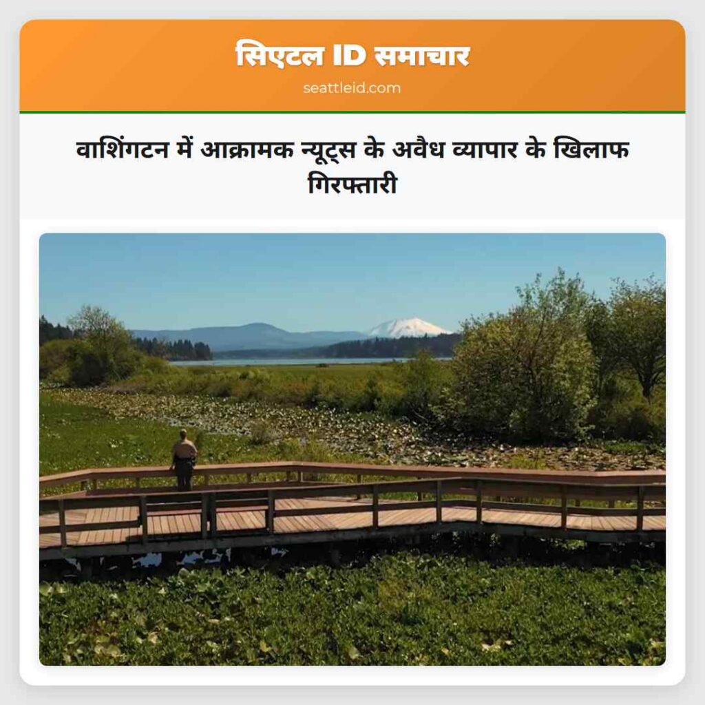 वाशिंगटन में आक्रामक न्यूट्स के अवैध व्यापार के