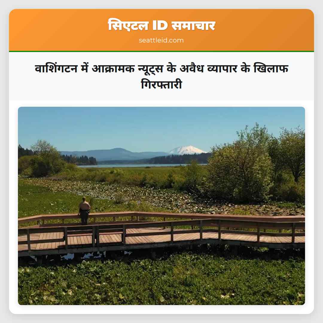 वाशिंगटन में आक्रामक न्यूट्स के अवैध व्यापार के