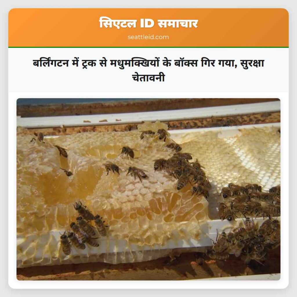 बर्लिंगटन में ट्रक से मधुमक्खियों के बॉक्स गिर
