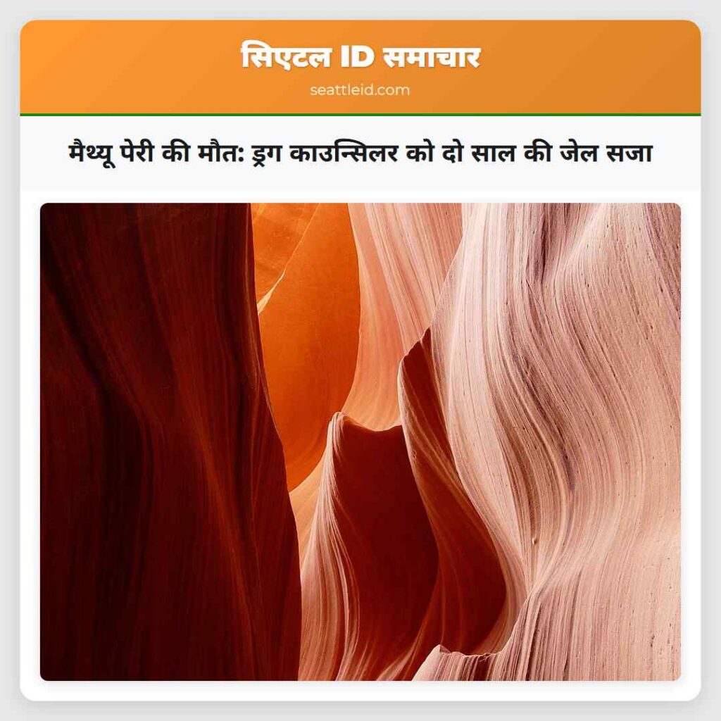 मैथ्यू पेरी की मौत: ड्रग काउन्सिलर को दो साल की