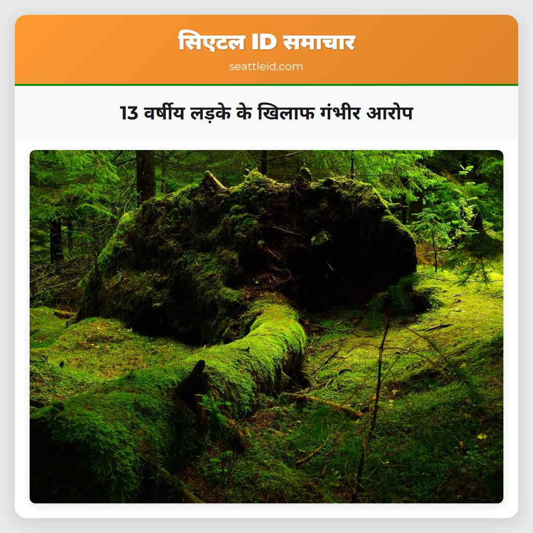 13 वर्षीय लड़के के खिलाफ गंभीर आरोप