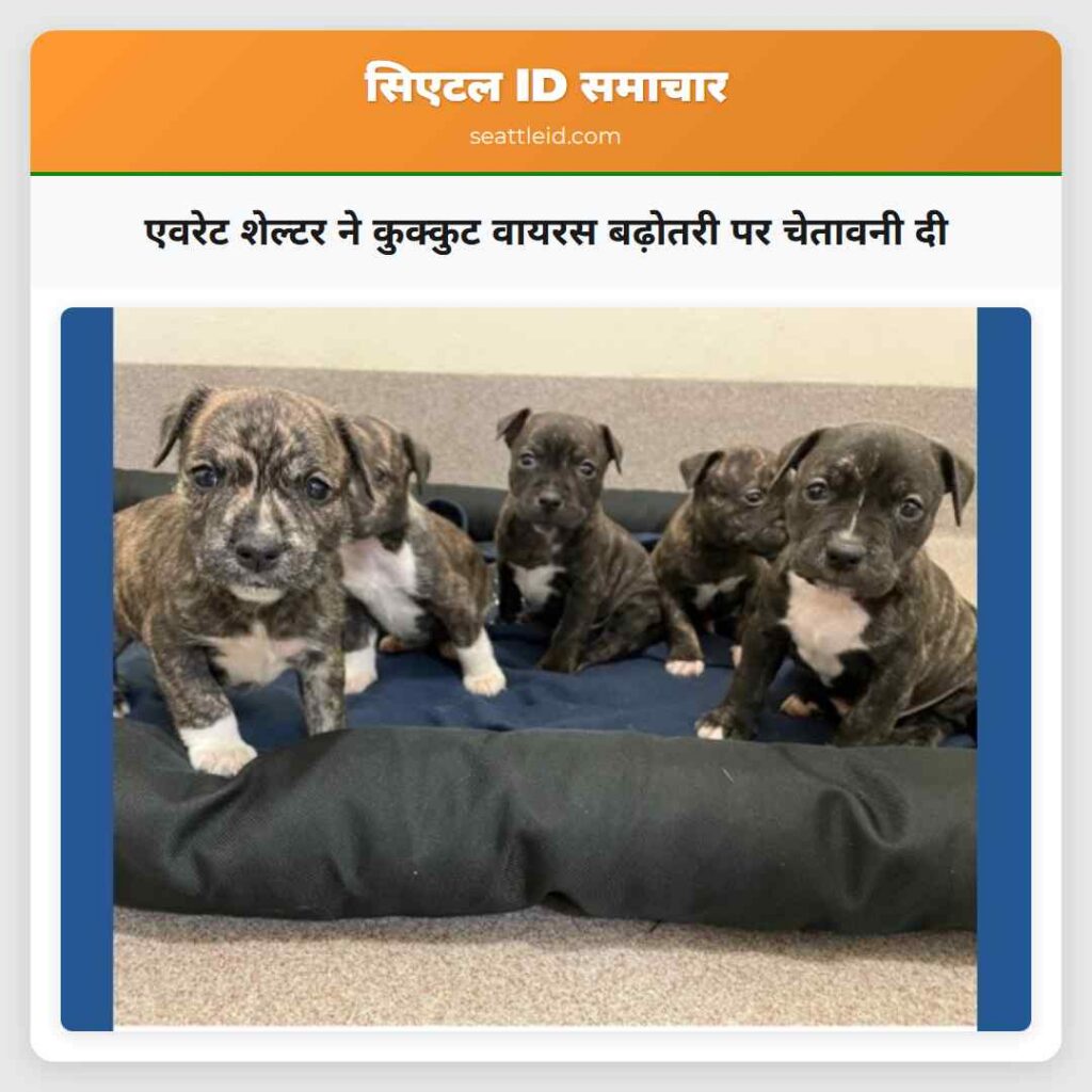 एवरेट शेल्टर ने कुक्कुट वायरस बढ़ोतरी पर चेतावनी