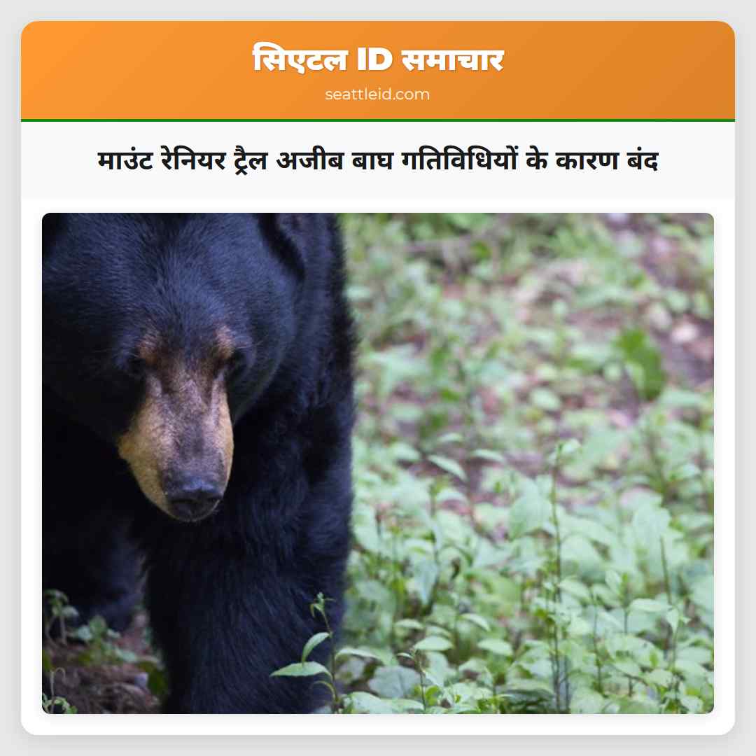 माउंट रेनियर ट्रैल अजीब बाघ गतिविधियों के कारण बंद