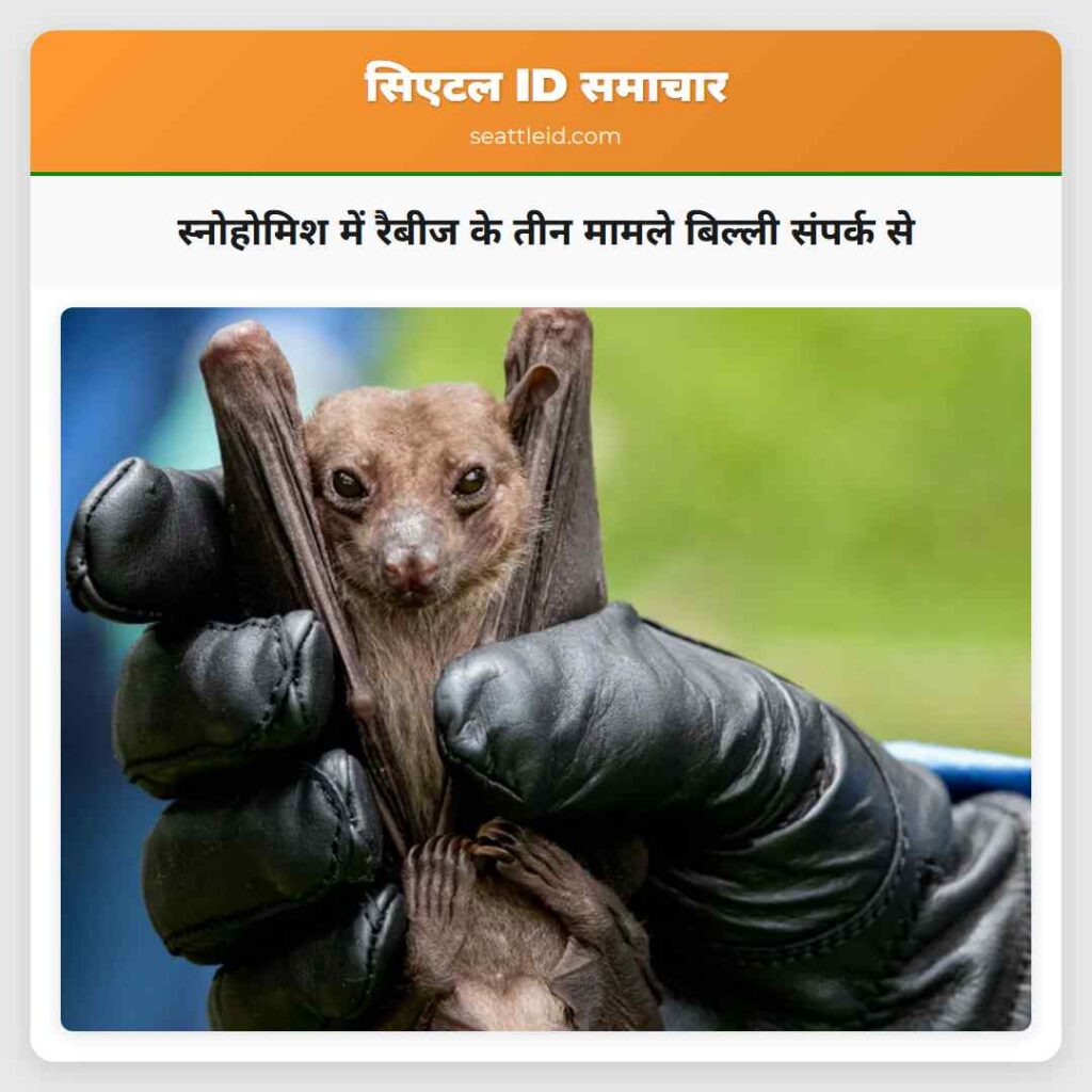 स्नोहोमिश में रैबीज के तीन मामले बिल्ली संपर्क से
