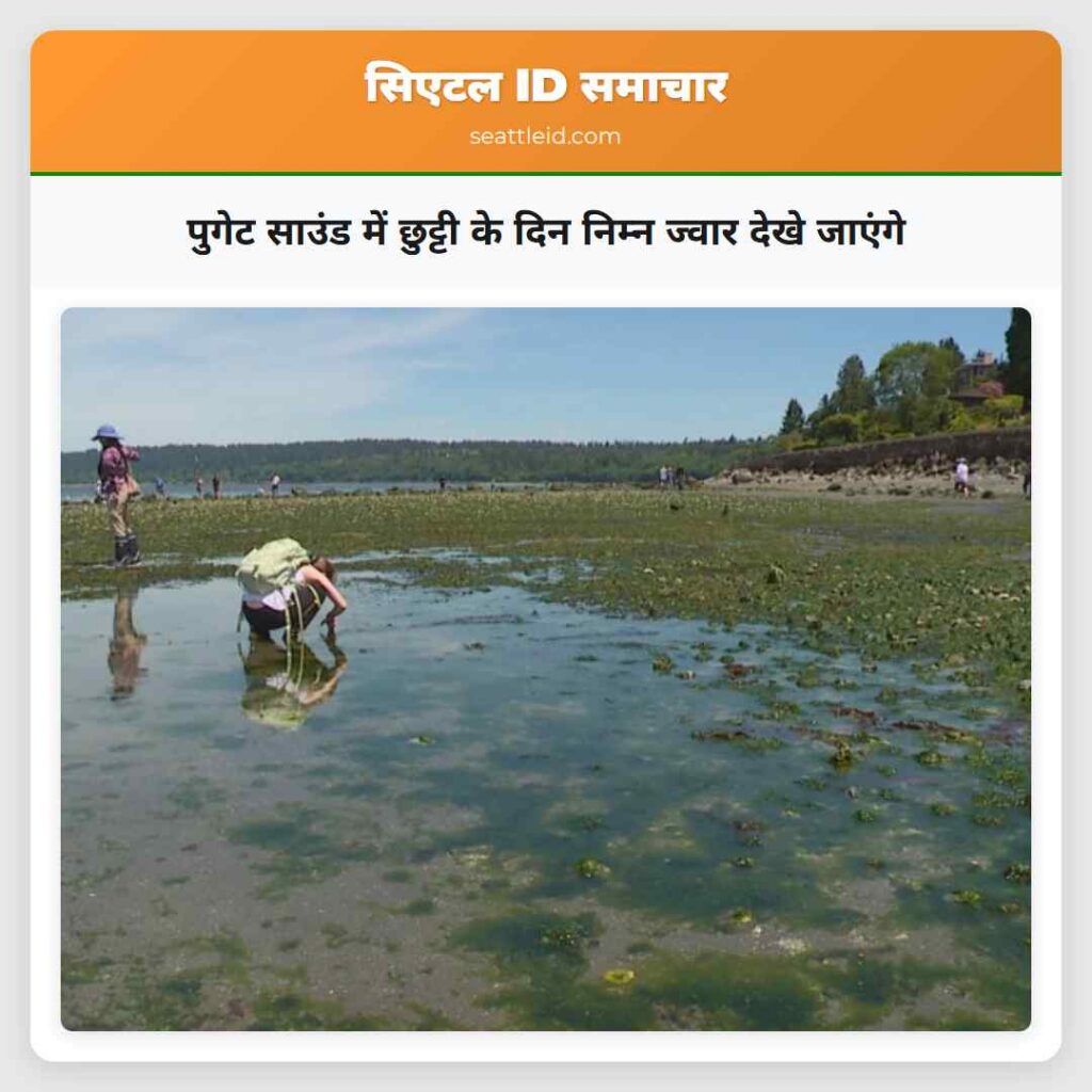पुगेट साउंड में छुट्टी के दिन निम्न ज्वार देखे