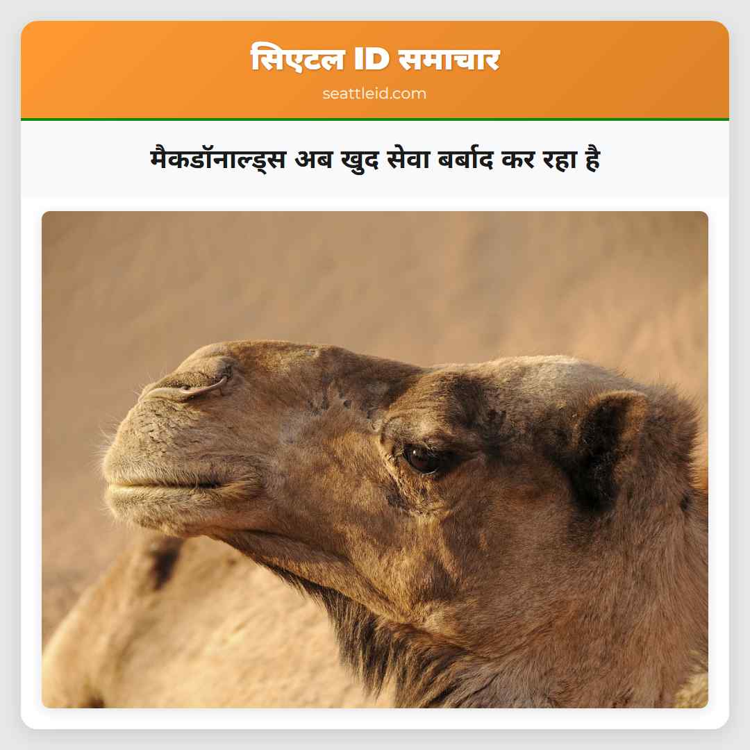 मैकडॉनाल्ड्स अब खुद सेवा बर्बाद कर रहा है
