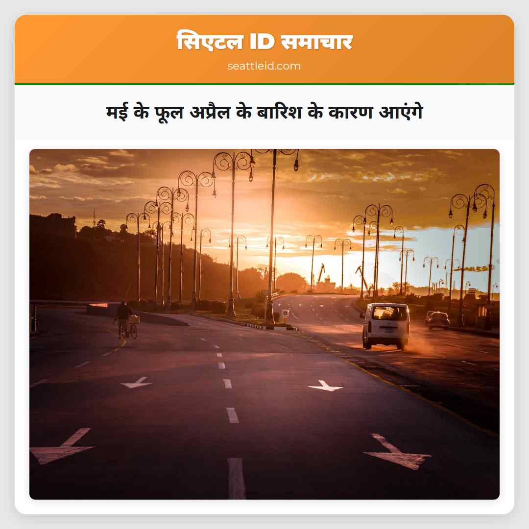 मई के फूल अप्रैल के बारिश के कारण आएंगे