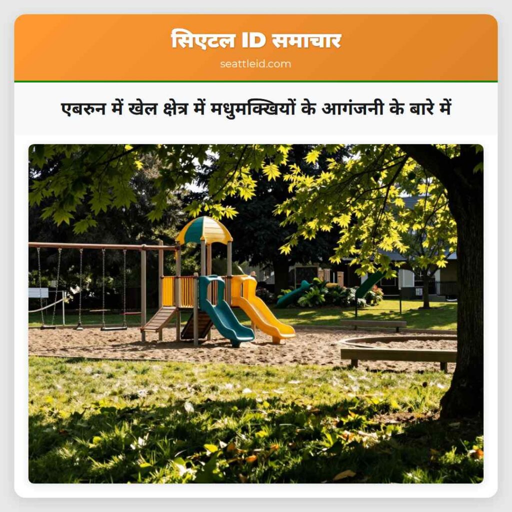एबरुन में खेल क्षेत्र में मधुमक्खियों के आगंजनी