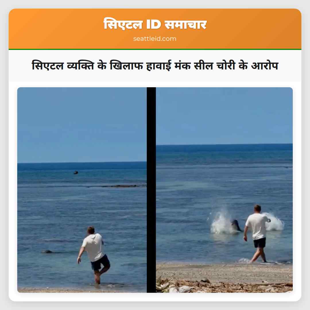 सिएटल व्यक्ति के खिलाफ हावाई मंक सील चोरी के आरोप