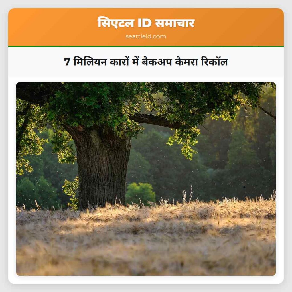 7 मिलियन कारों में बैकअप कैमरा रिकॉल