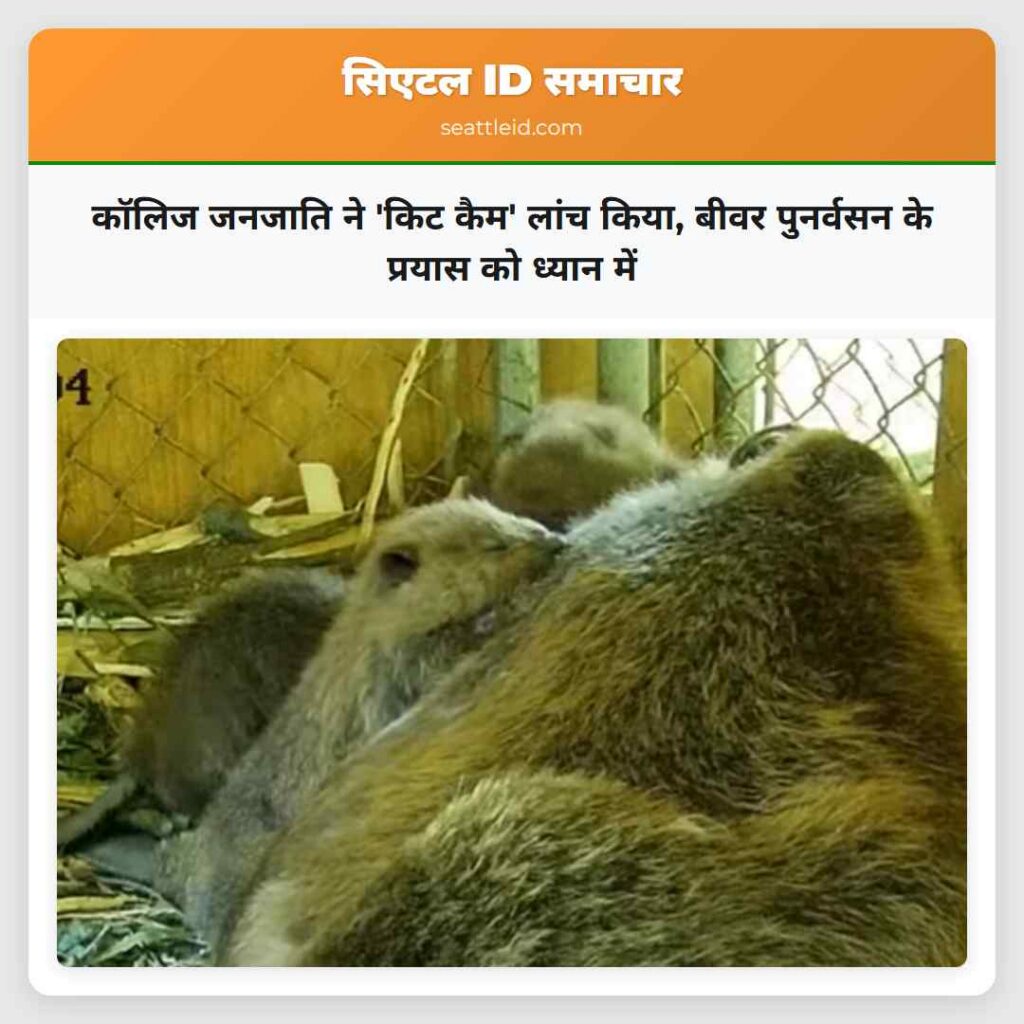 कॉलिज जनजाति ने 'किट कैम' लांच किया, बीवर