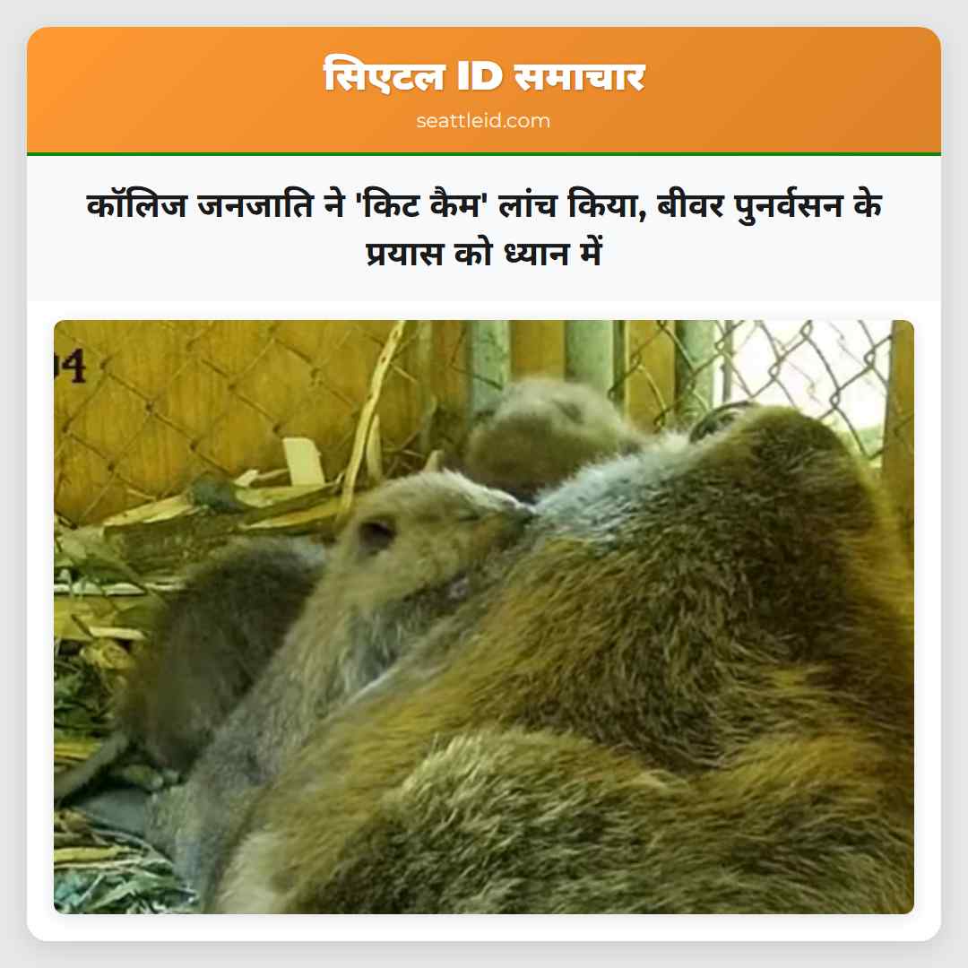 कॉलिज जनजाति ने 'किट कैम' लांच किया, बीवर