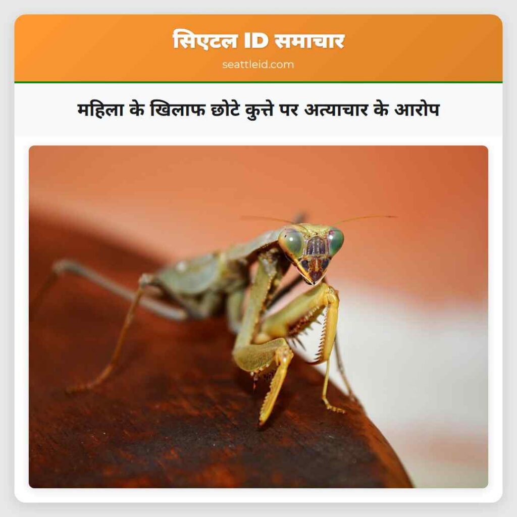 महिला के खिलाफ छोटे कुत्ते पर अत्याचार के आरोप