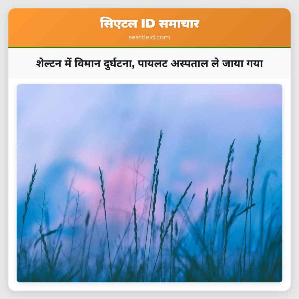 शेल्टन में विमान दुर्घटना, पायलट अस्पताल ले जाया
