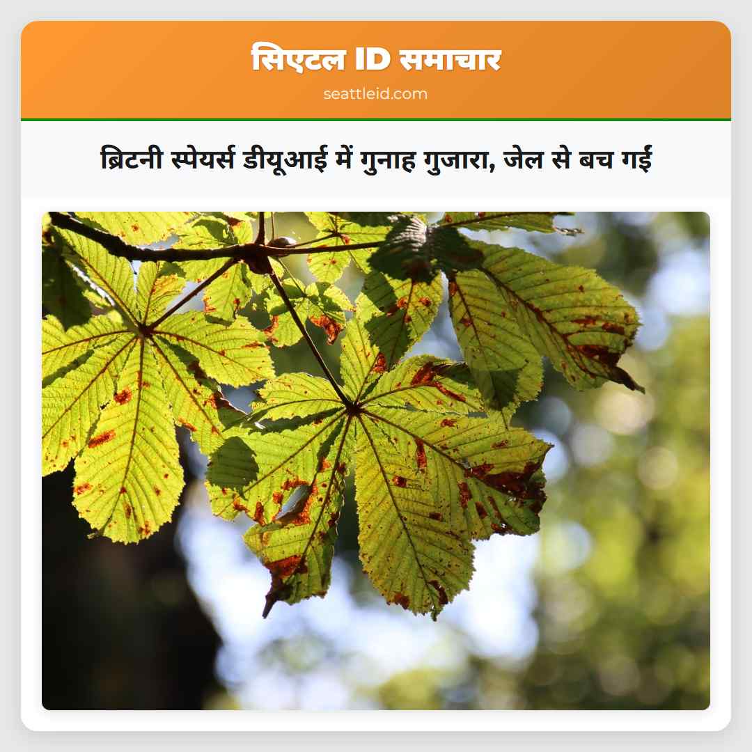 ब्रिटनी स्पेयर्स डीयूआई में गुनाह गुजारा, जेल से