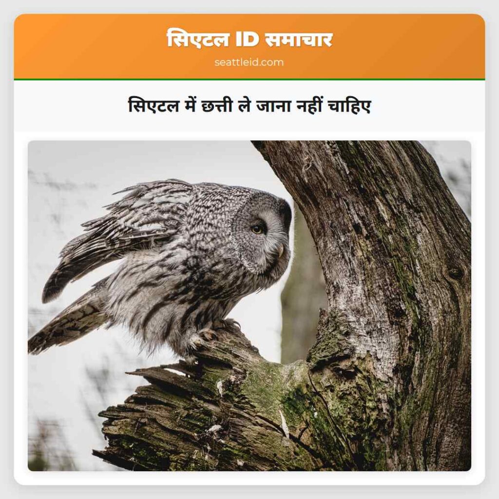 सिएटल में छत्ती ले जाना नहीं चाहिए