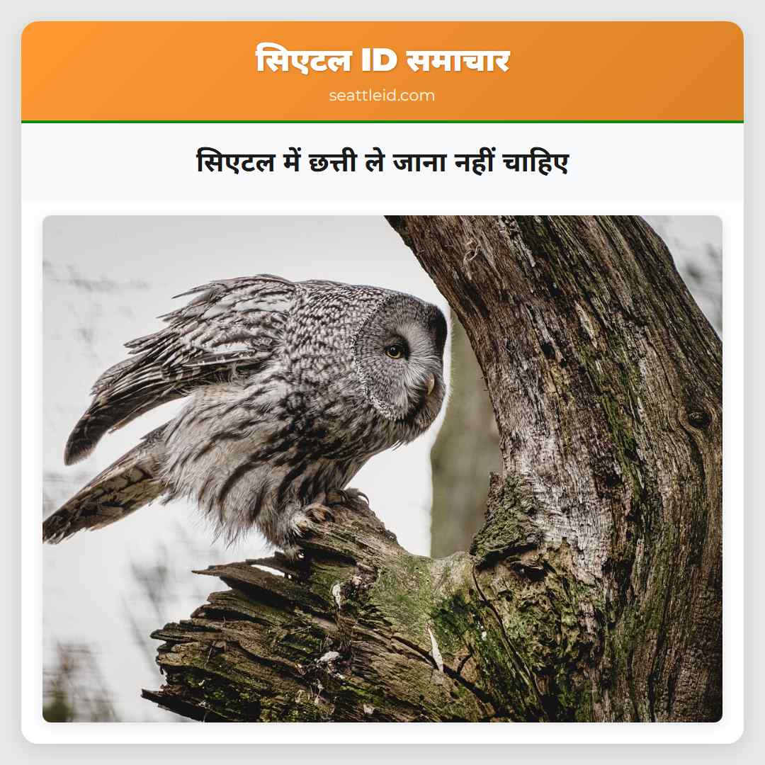 सिएटल में छत्ती ले जाना नहीं चाहिए