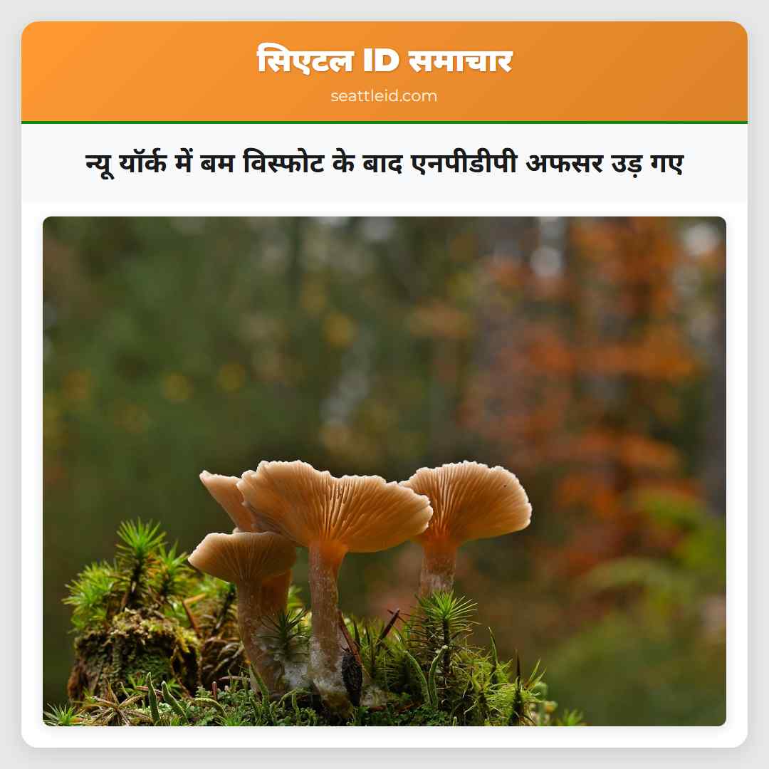 न्यू यॉर्क में बम विस्फोट के बाद एनपीडीपी अफसर
