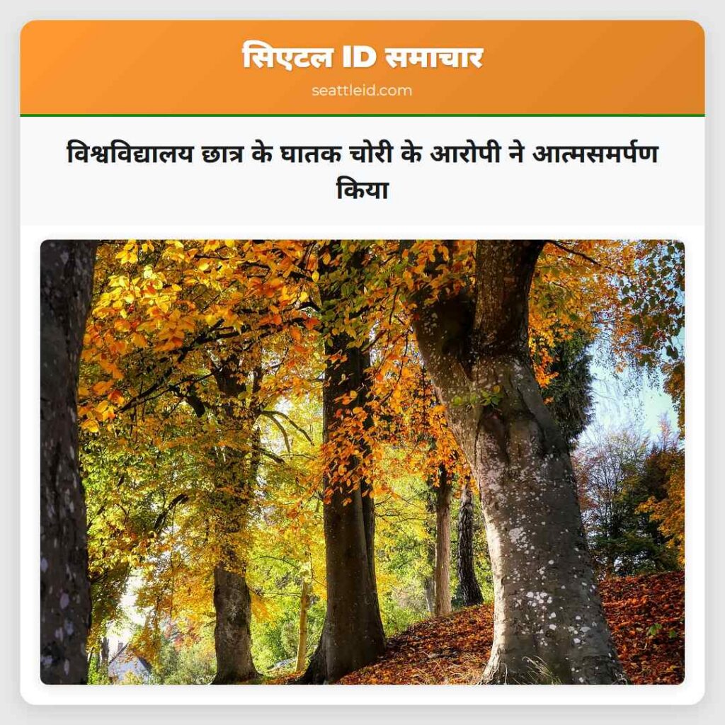 विश्वविद्यालय छात्र के घातक चोरी के आरोपी ने