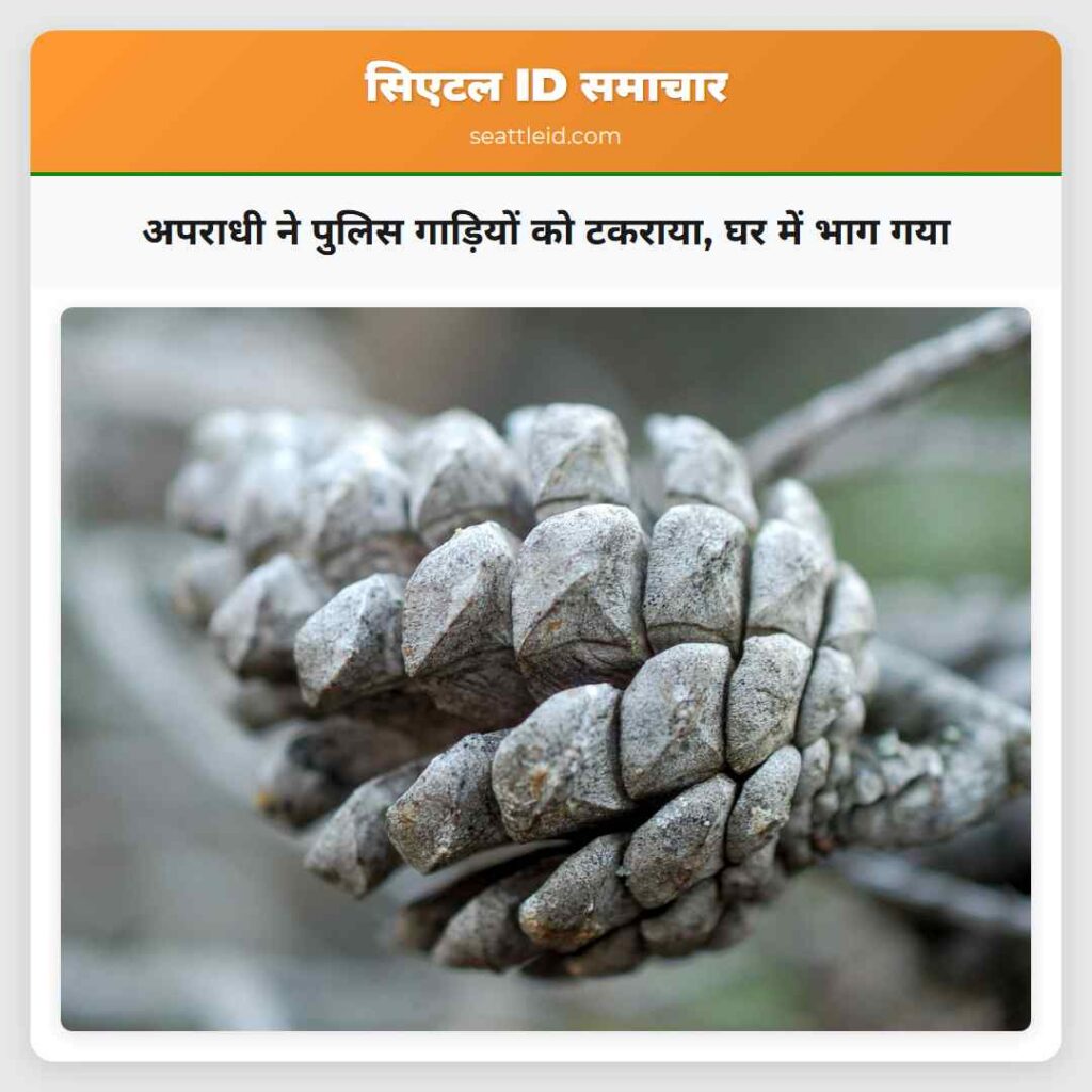 अपराधी ने पुलिस गाड़ियों को टकराया, घर में भाग गया