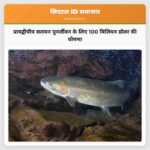 प्रायद्वीपीय सलमन पुनर्जीवन के लिए 100 मिलियन डॉलर की घोषणा