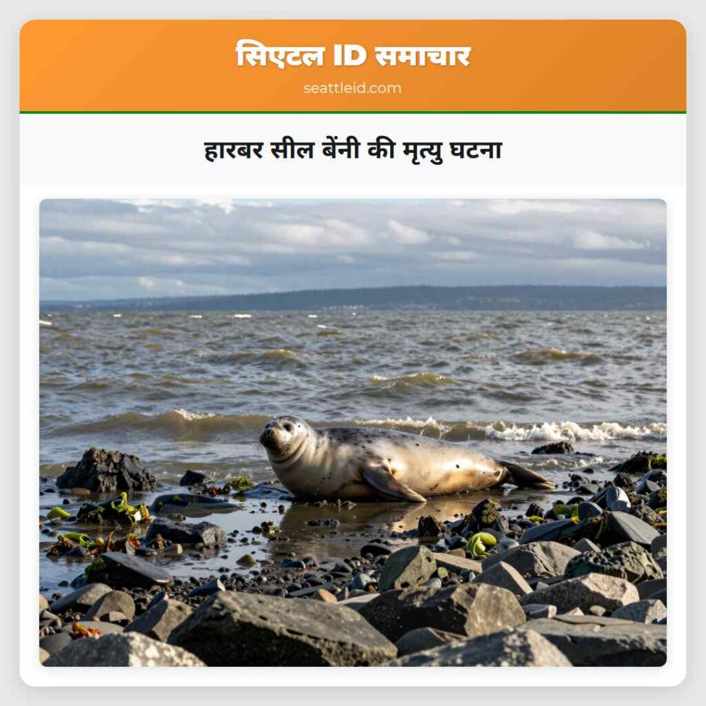 हारबर सील बेंनी की मृत्यु घटना