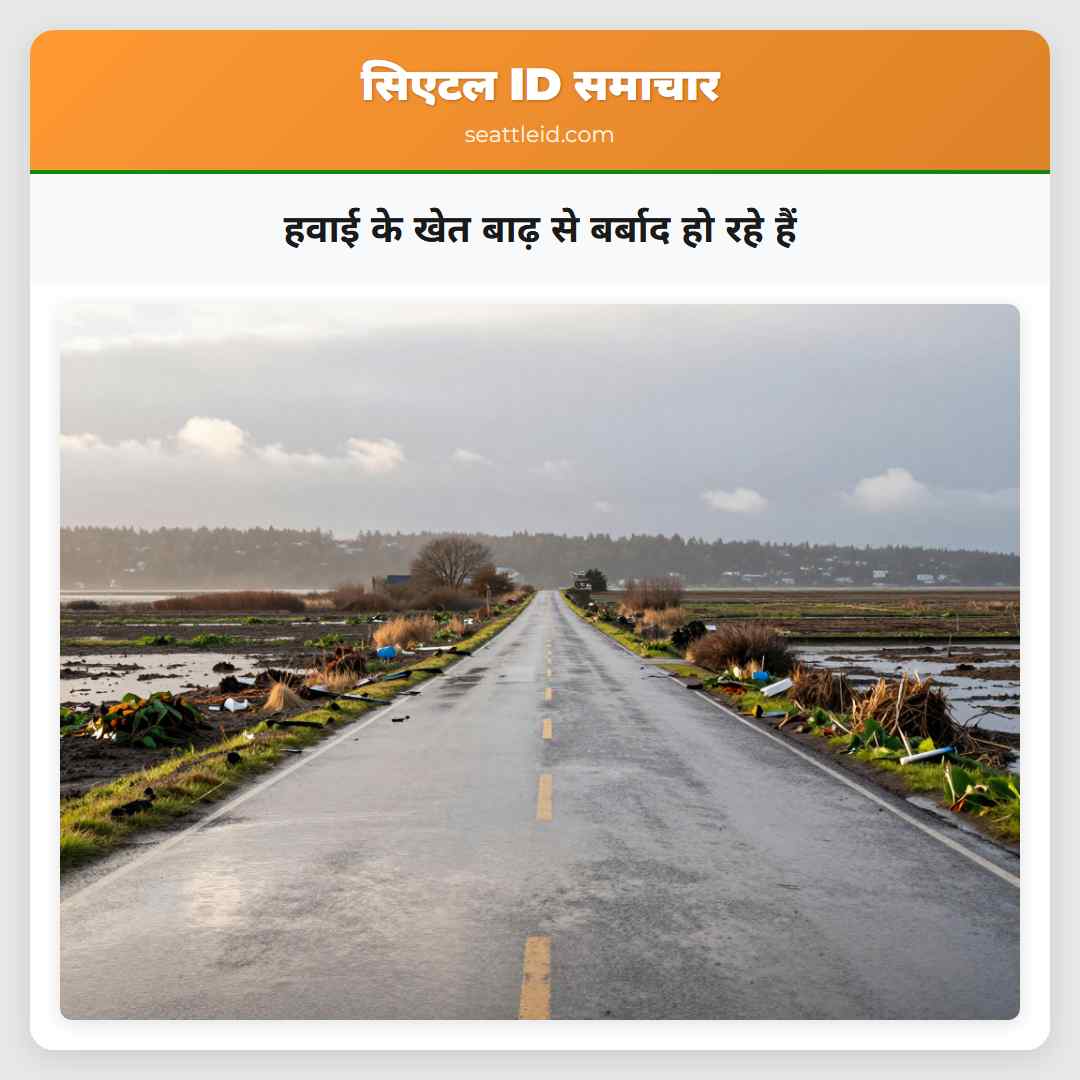 हवाई के खेत बाढ़ से बर्बाद हो रहे हैं