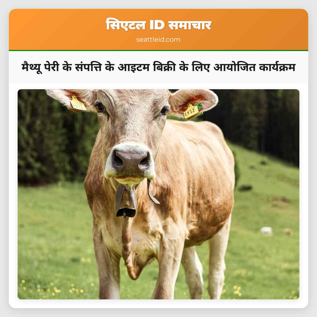 मैथ्यू पेरी के संपत्ति के आइटम बिक्री के लिए