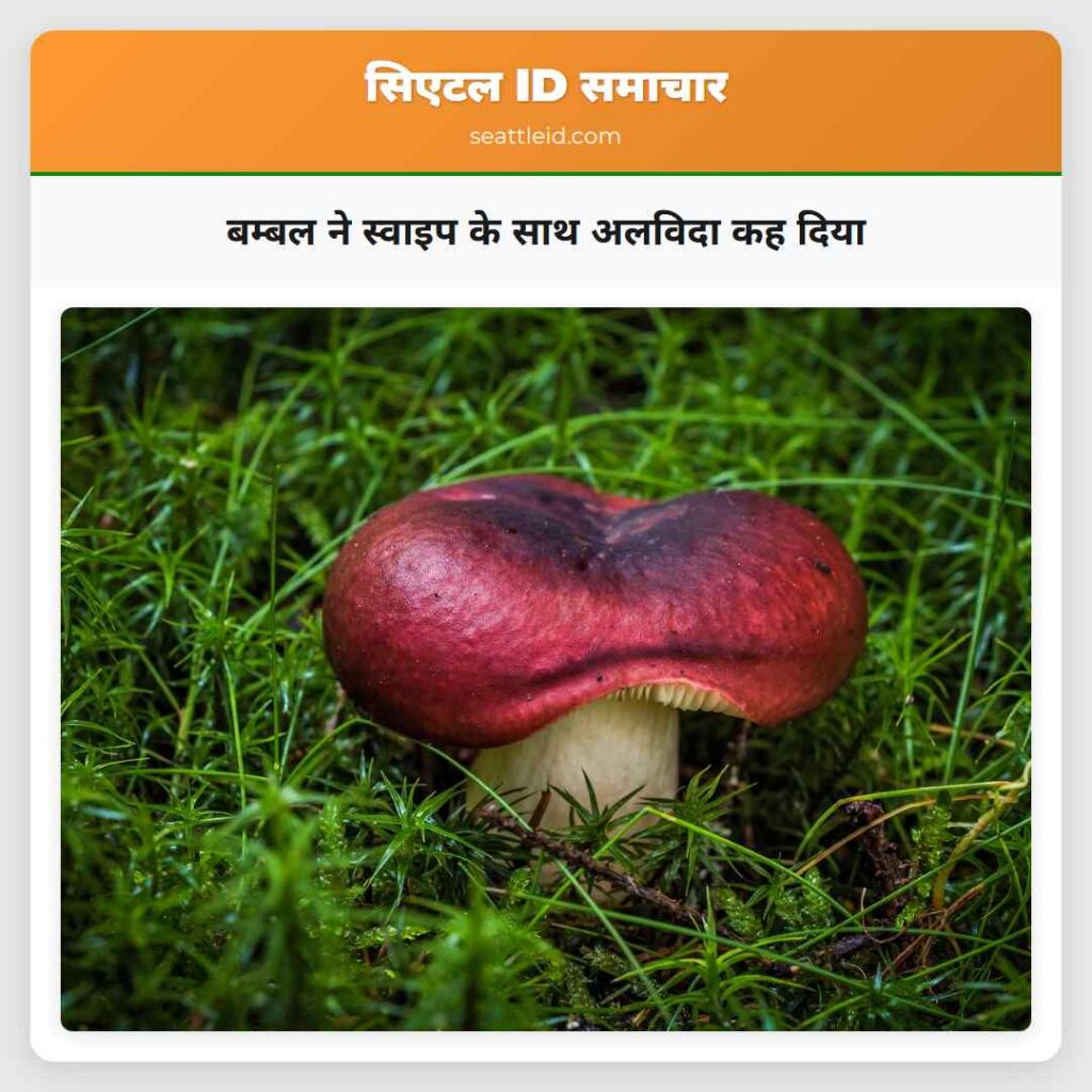 बम्बल ने स्वाइप के साथ अलविदा कह दिया