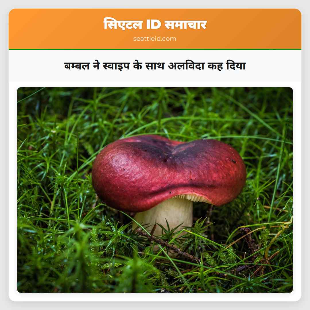 बम्बल ने स्वाइप के साथ अलविदा कह दिया