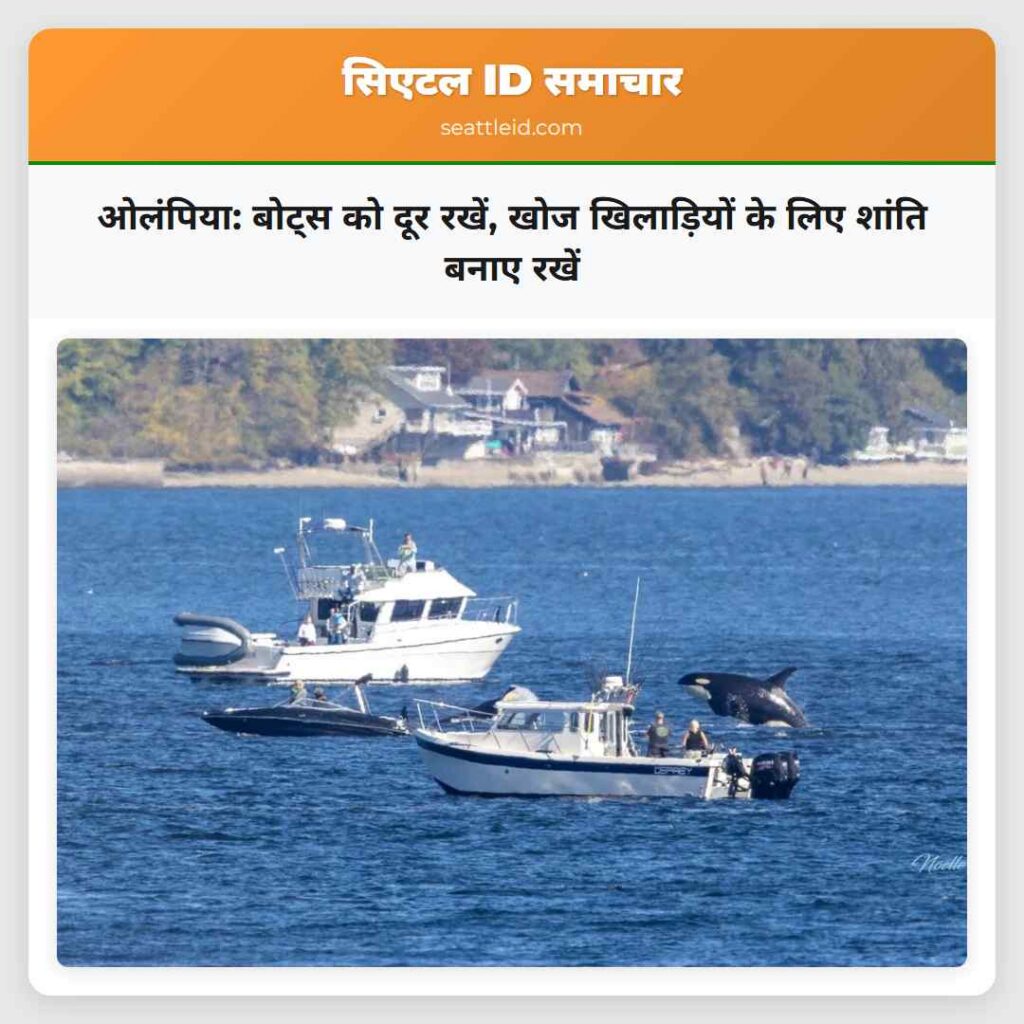 ओलंपिया: बोट्स को दूर रखें, खोज खिलाड़ियों के लिए