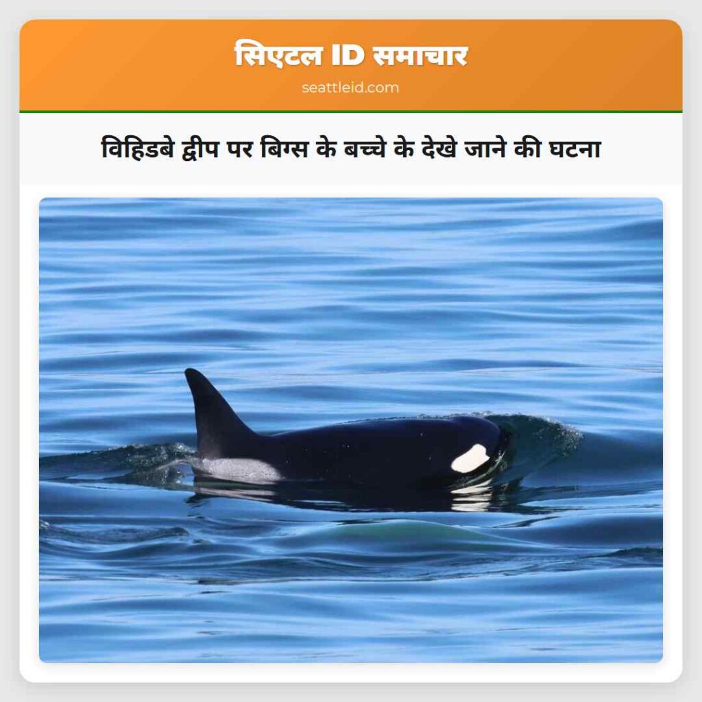 विहिडबे द्वीप पर बिग्स के बच्चे के देखे जाने की