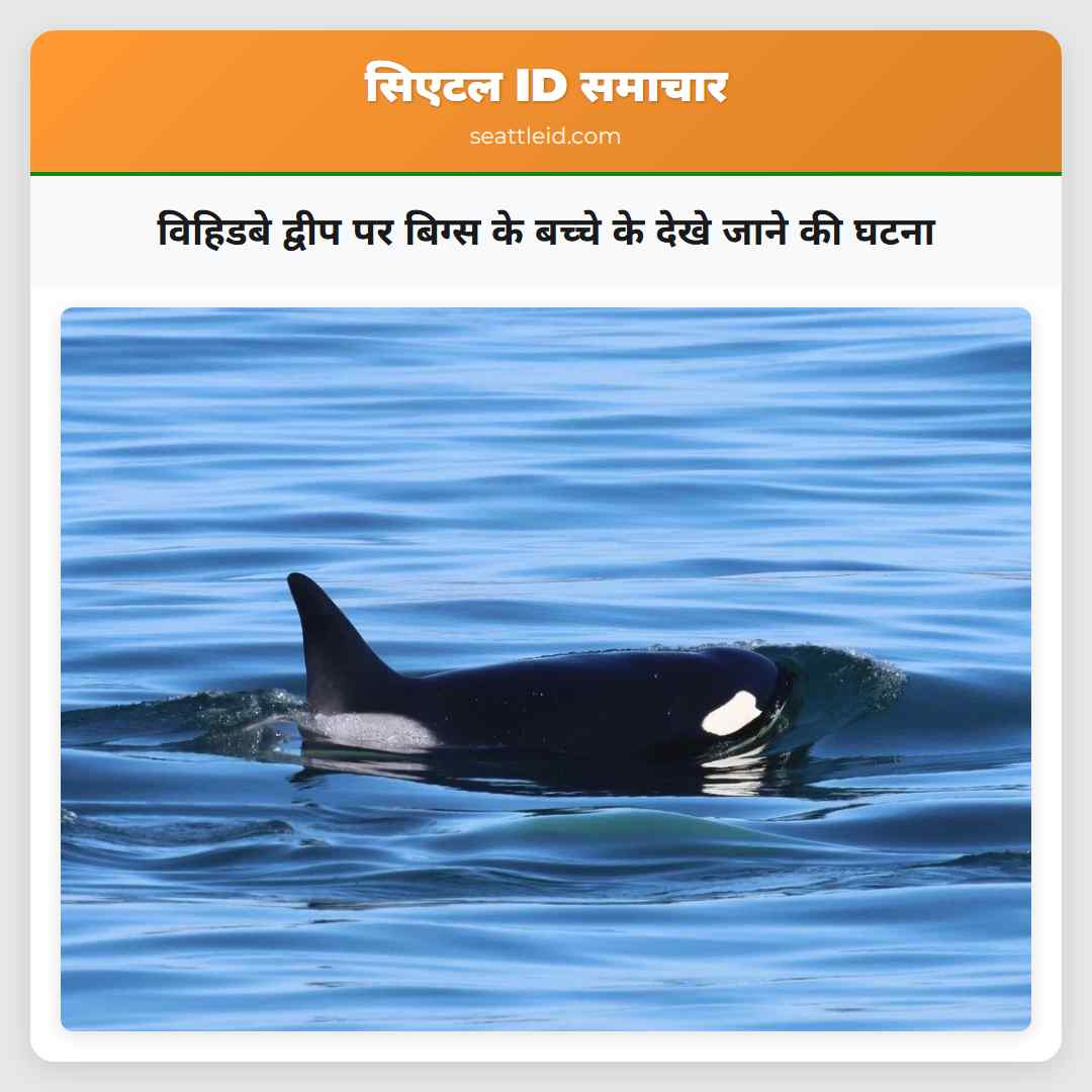 विहिडबे द्वीप पर बिग्स के बच्चे के देखे जाने की घटना