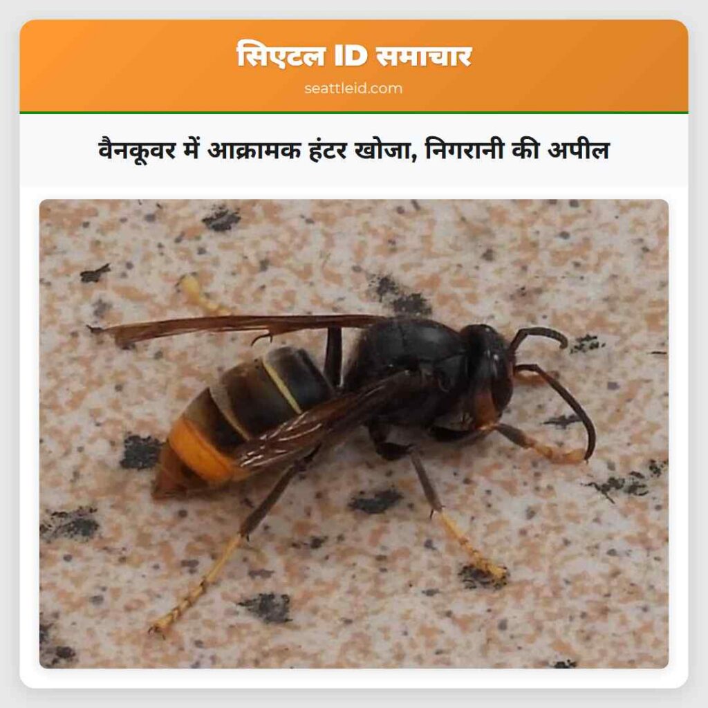वैनकूवर में आक्रामक हंटर खोजा, निगरानी की अपील