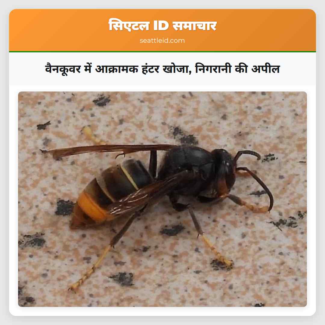 वैनकूवर में आक्रामक हंटर खोजा, निगरानी की अपील