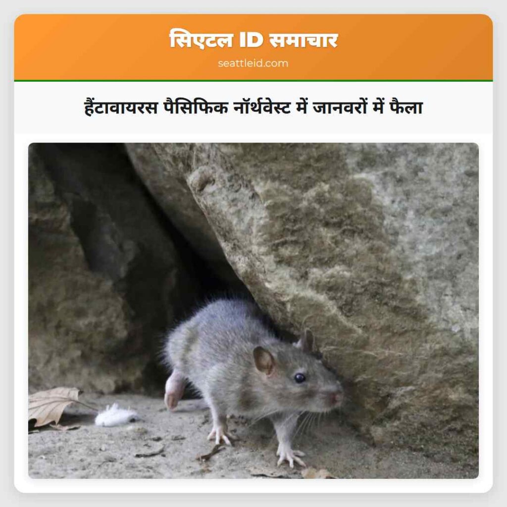 हैंटावायरस पैसिफिक नॉर्थवेस्ट में जानवरों में फैला