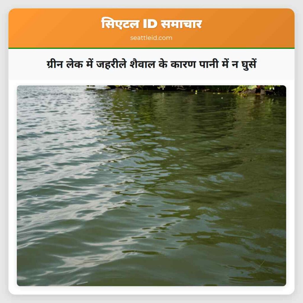 ग्रीन लेक में जहरीले शैवाल के कारण पानी में न
