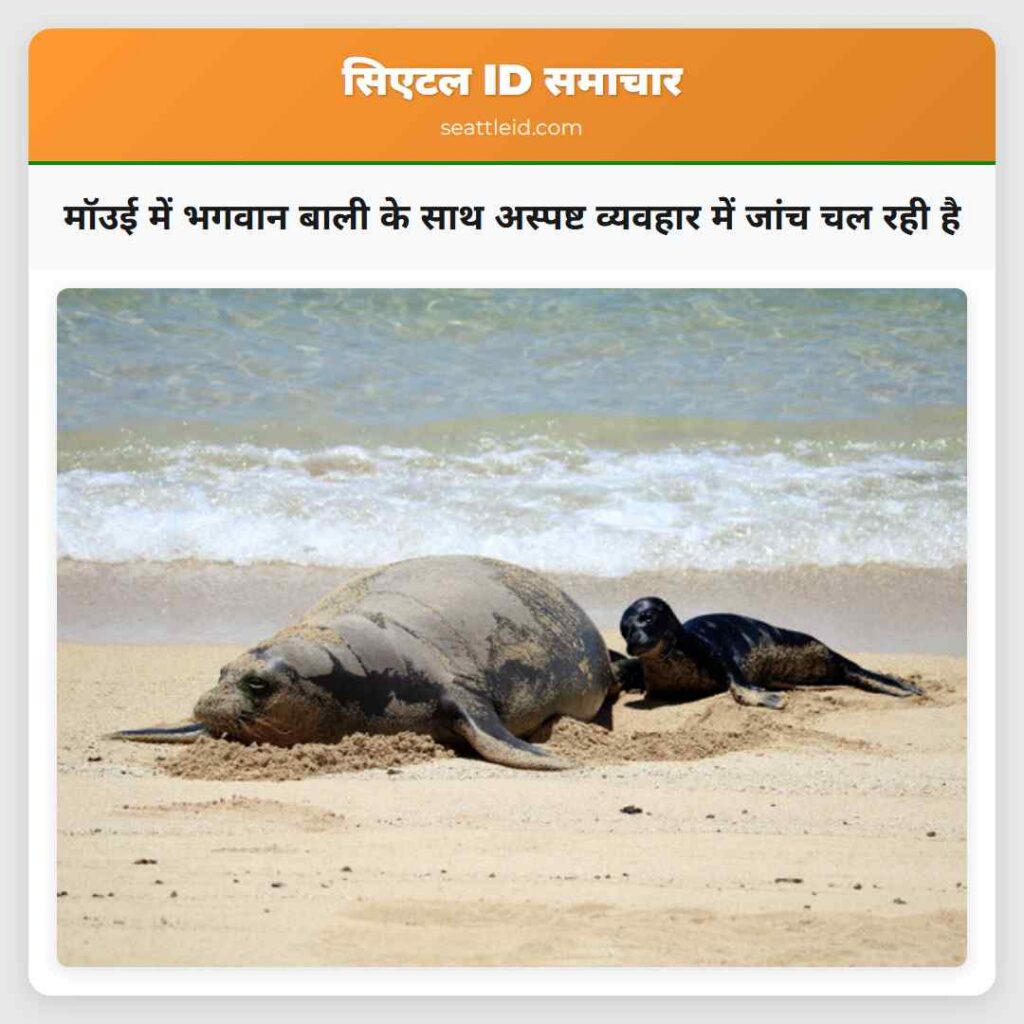मॉउई में भगवान बाली के साथ अस्पष्ट व्यवहार में