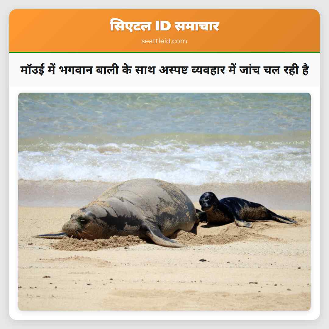 मॉउई में भगवान बाली के साथ अस्पष्ट व्यवहार में जांच चल रही है