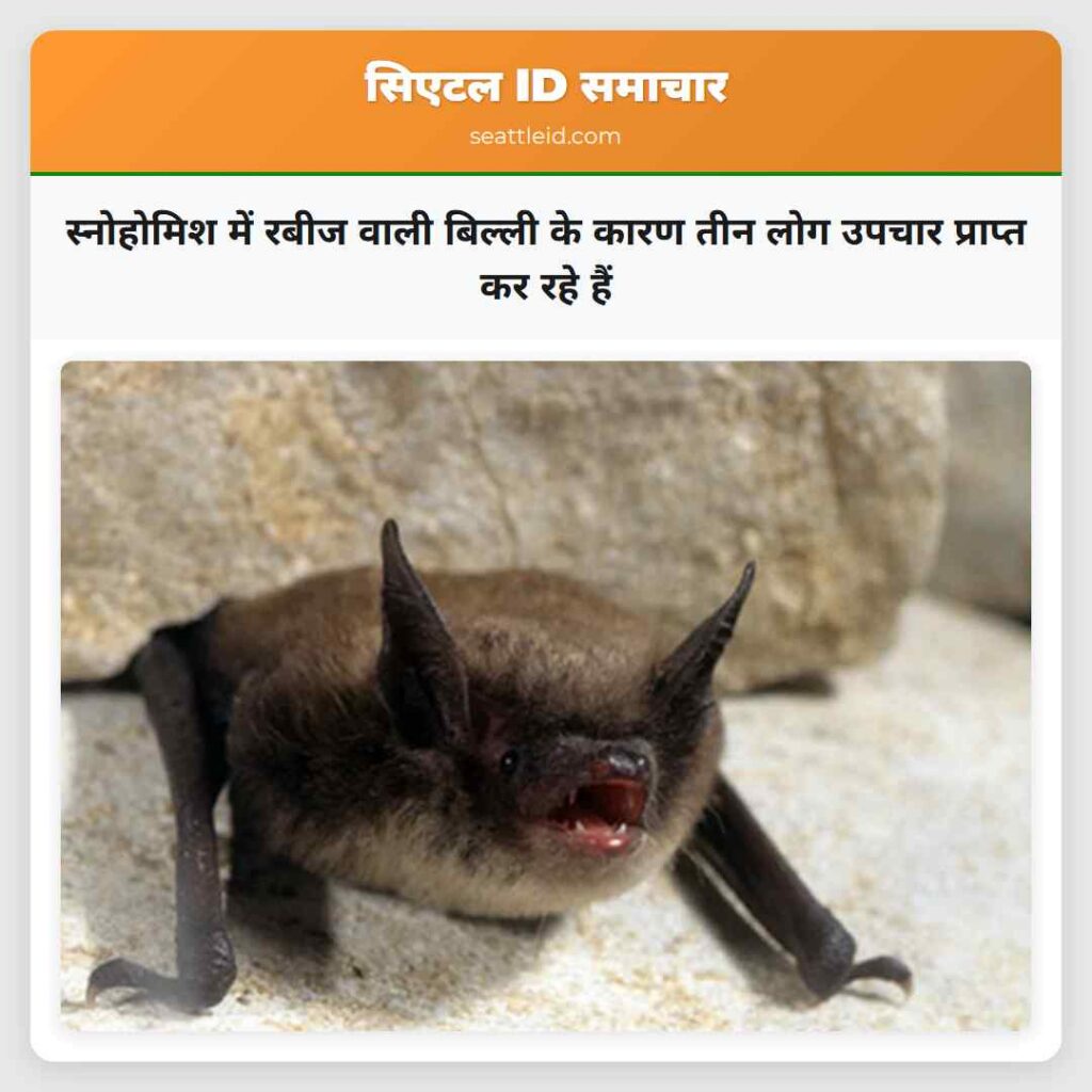 स्नोहोमिश में रबीज वाली बिल्ली के कारण तीन लोग