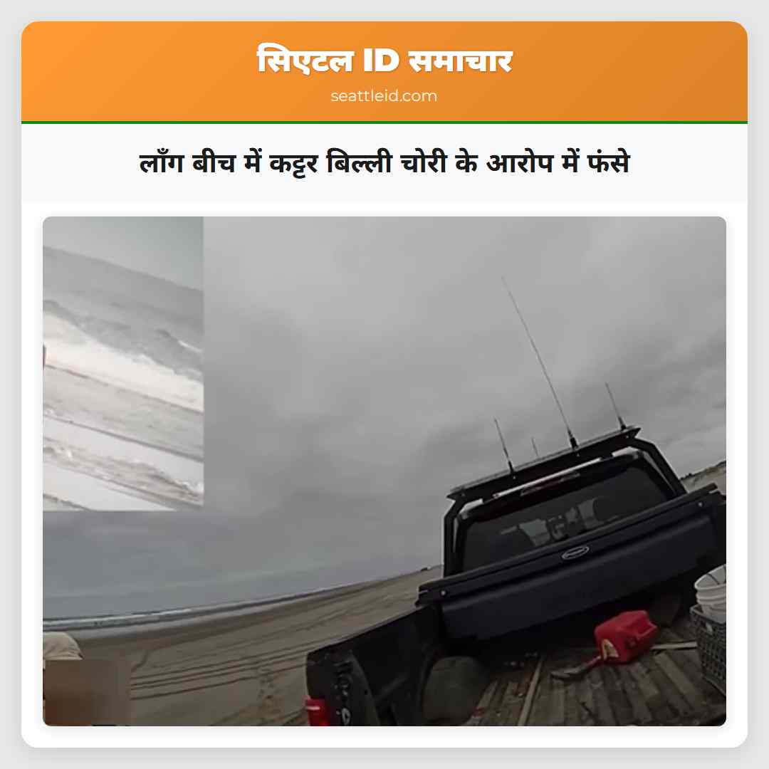 लॉंग बीच में कट्टर बिल्ली चोरी के आरोप में फंसे