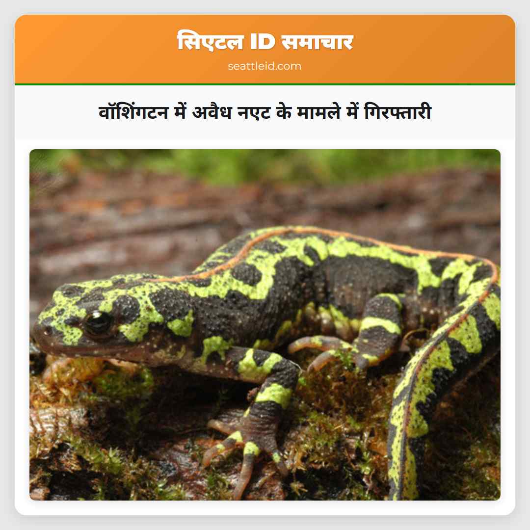 वॉशिंगटन में अवैध नएट के मामले में गिरफ्तारी