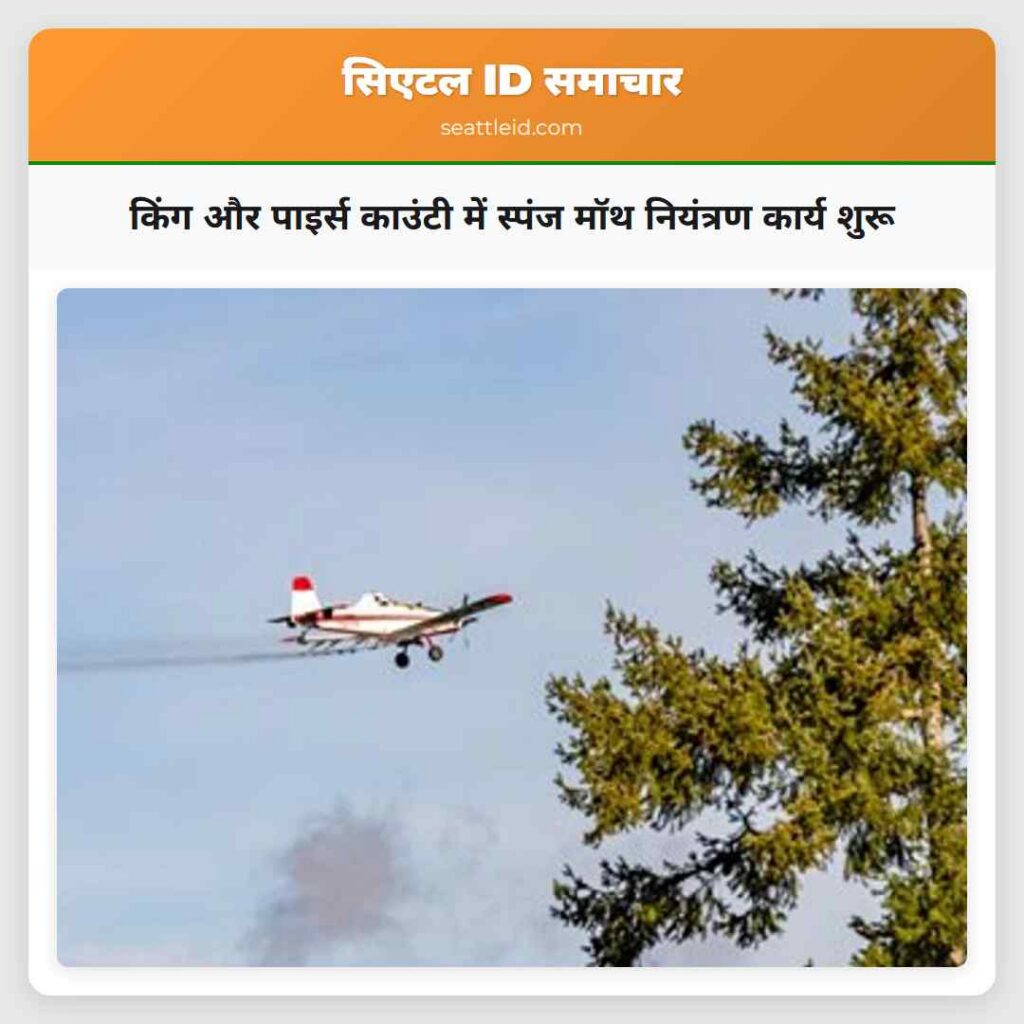 किंग और पाइर्स काउंटी में स्पंज मॉथ नियंत्रण