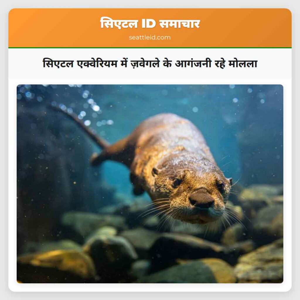 सिएटल एक्वेरियम में ज़वेगले के आगंजनी रहे मोलला