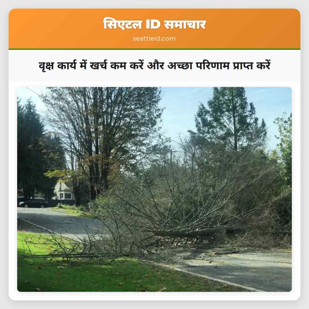 वृक्ष कार्य में खर्च कम करें और अच्छा परिणाम