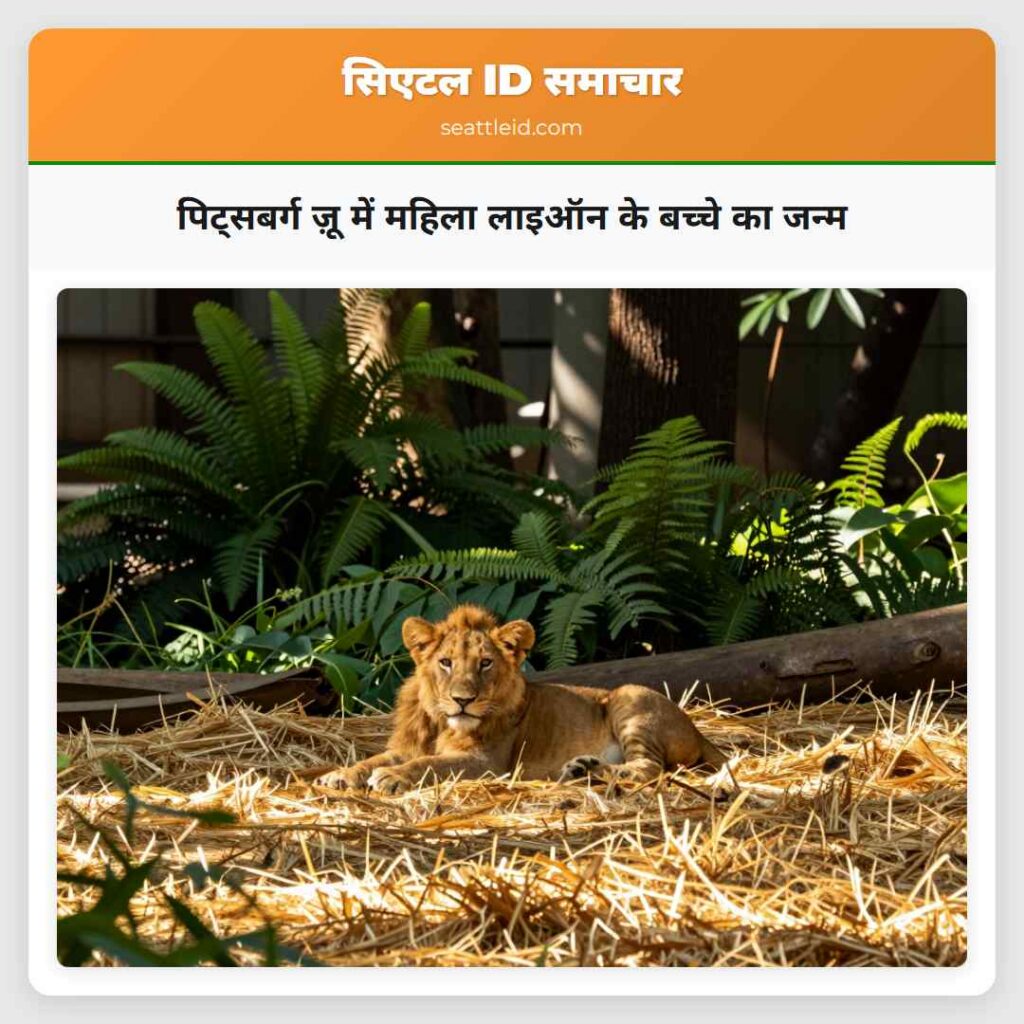 पिट्सबर्ग ज़ू में महिला लाइऑन के बच्चे का जन्म