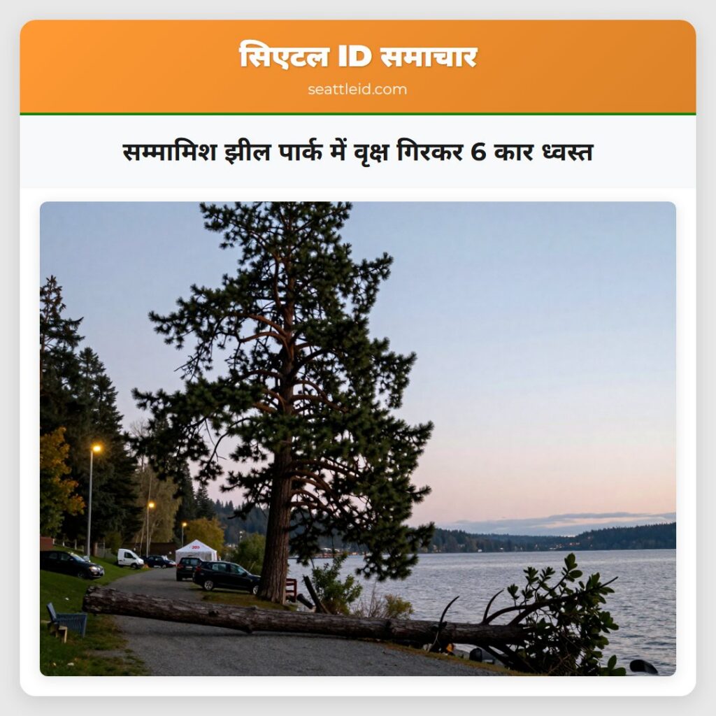 सम्मामिश झील पार्क में वृक्ष गिरकर 6 कार ध्वस्त