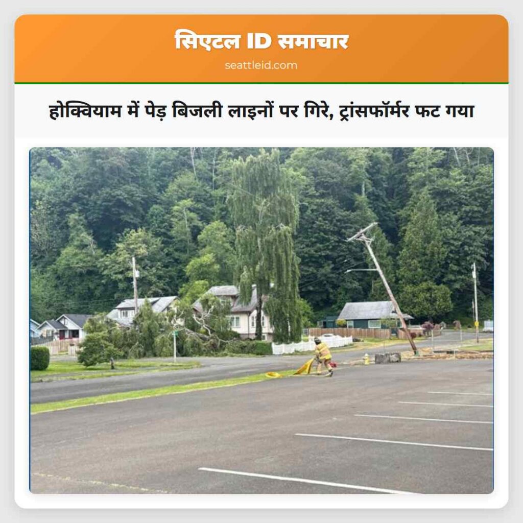 होक्वियाम में पेड़ बिजली लाइनों पर गिरे,