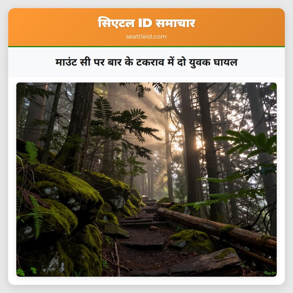 माउंट सी पर बार के टकराव में दो युवक घायल